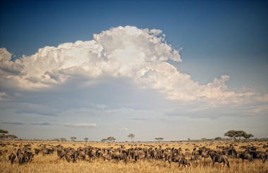Singita Grumeti
